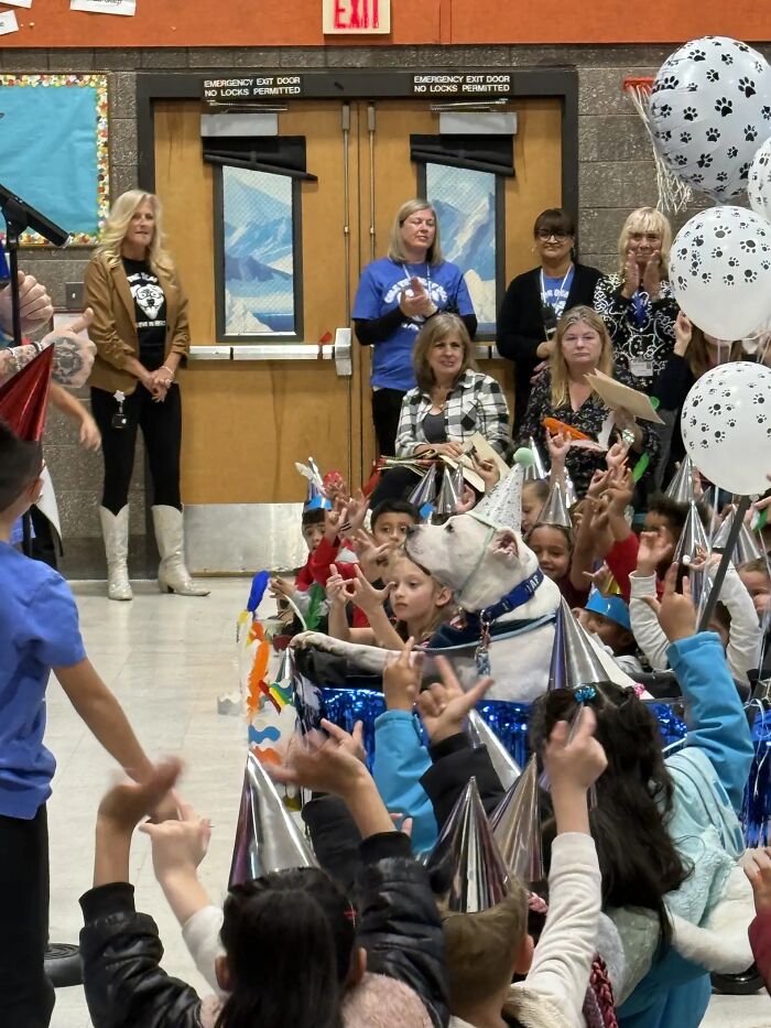 School kids use sign language to celebrate their deaf therapy dog's birthday with party hats and decorations.