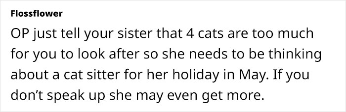 Woman Assumes Sis Will Look After Her 4 Cats While She's On Holiday, But She Doesn't Want To