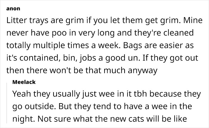 Woman Assumes Sis Will Look After Her 4 Cats While She's On Holiday, But She Doesn't Want To