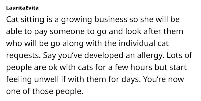 Woman Assumes Sis Will Look After Her 4 Cats While She's On Holiday, But She Doesn't Want To
