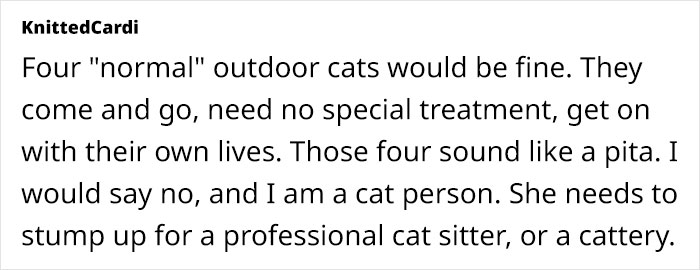 Woman Assumes Sis Will Look After Her 4 Cats While She's On Holiday, But She Doesn't Want To