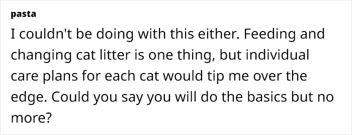 Woman Assumes Sis Will Look After Her 4 Cats While She's On Holiday, But She Doesn't Want To