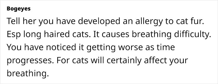 Woman Assumes Sis Will Look After Her 4 Cats While She's On Holiday, But She Doesn't Want To