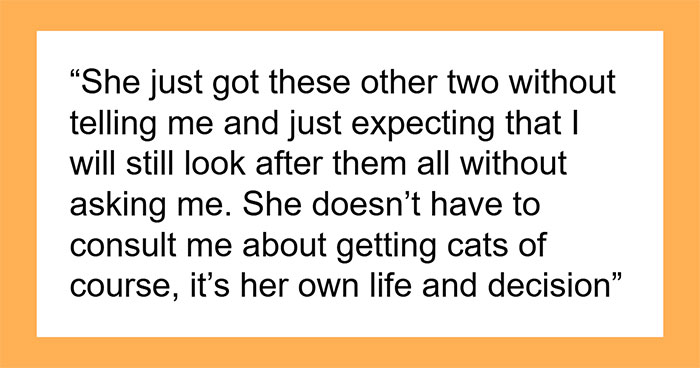 Woman Assumes Sis Will Look After Her 4 Cats While She’s On Holiday, But She Doesn’t Want To
