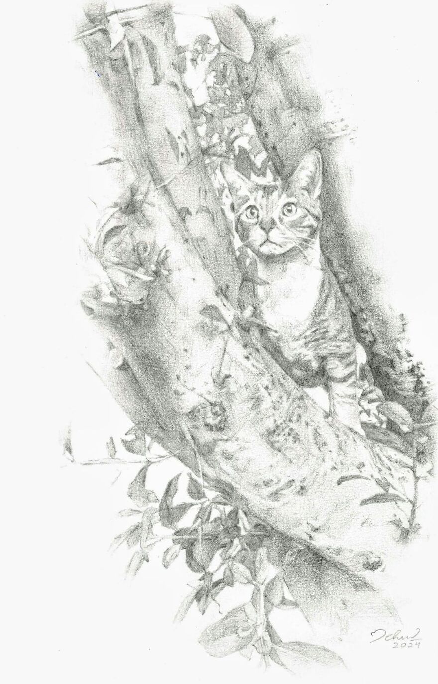 A Pencil Sketch I Recently Did For A Client From USA