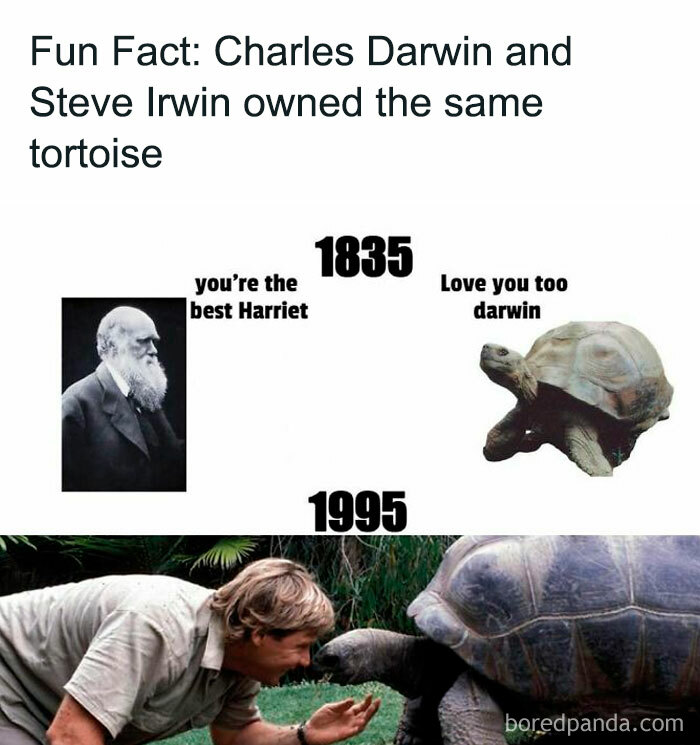 50 Of The Funniest Memes That Explain History In A Way That Books Probably Never Will