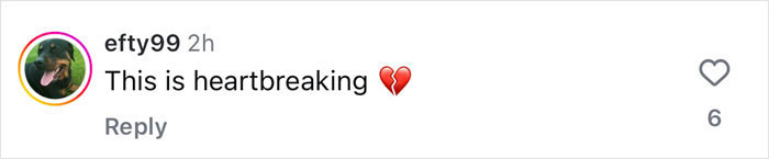 "Feels So Unjust": Fans Devastated After Famous Squirrel Is Seized And Euthanized By Authorities "Feels So Unjust": Fans Devastated After Famous Squirrel Is Seized And Euthanized By Authorities