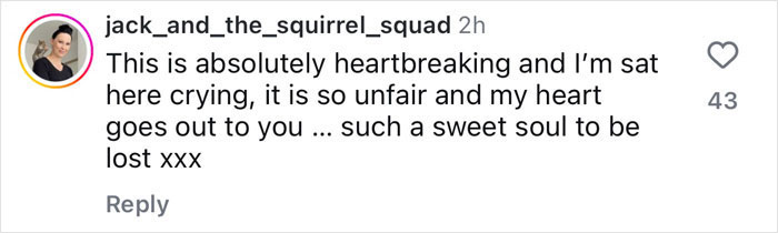 "Feels So Unjust": Fans Devastated After Famous Squirrel Is Seized And Euthanized By Authorities "Feels So Unjust": Fans Devastated After Famous Squirrel Is Seized And Euthanized By Authorities