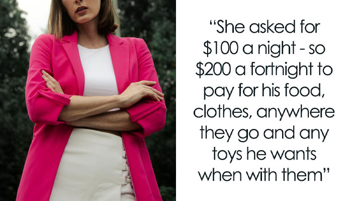 Stepmom Asks To Be Paid $100 A Night For When Fiancé’s Son Is At Theirs, Gets A Reality Check