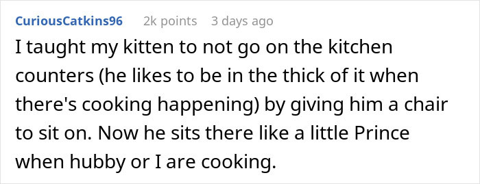 Reddit comment about teaching a kitten not to climb counters by providing a chair, humorously likening him to a prince.