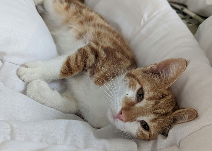 “It Still Hurts”: 50 Experiences That Broke People’s Hearts Into A Million Pieces