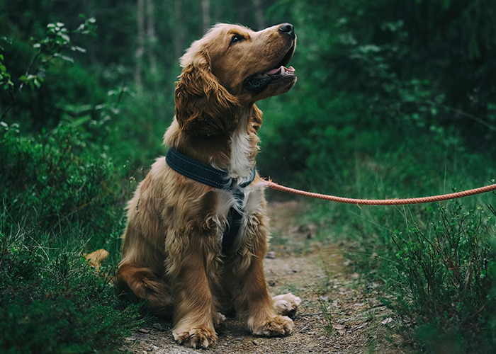 “It Still Hurts”: 50 Experiences That Broke People’s Hearts Into A Million Pieces