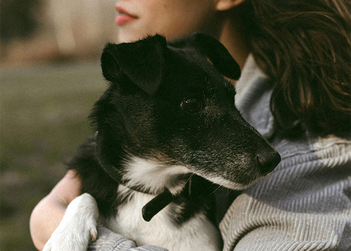 “It Still Hurts”: 50 Experiences That Broke People’s Hearts Into A Million Pieces