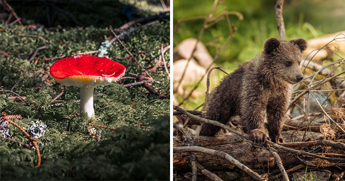 “Turning Into High-Velocity Sausage Meat”: 35 Things People Shouldn’t Mess Around With