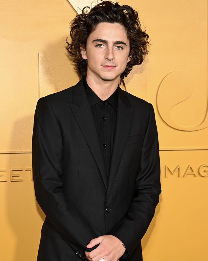 Timothée Chalamet Apparently Hasn’t Auditioned For Years