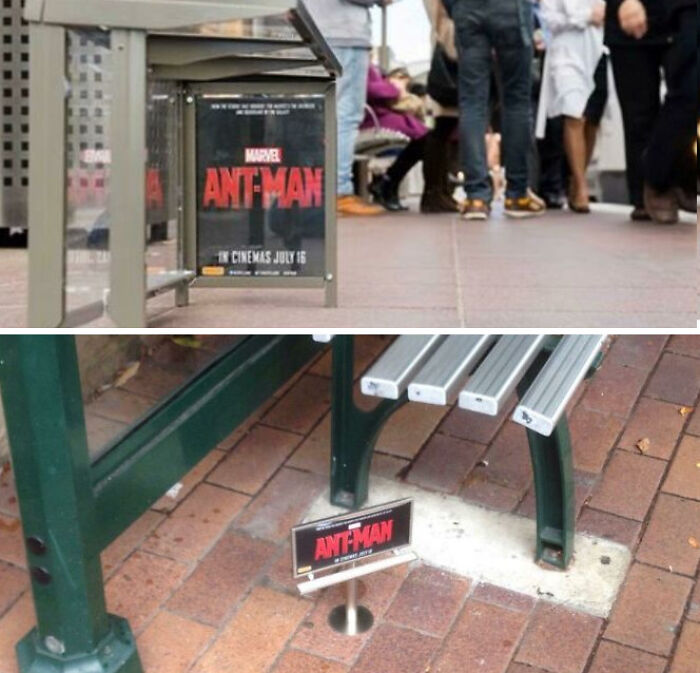 What Is This, Marketing For Ants?