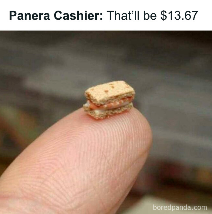 What Is This? A Sandwich For Ants?