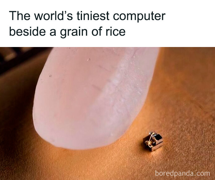 What Is This, A Computer For Ants?