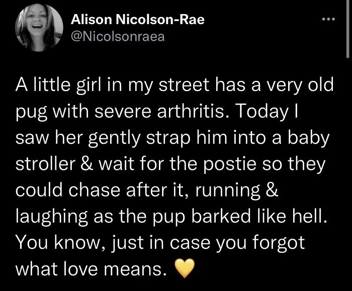 Wholesome message of a girl with her arthritic pug in a stroller, reminding us of love's meaning.