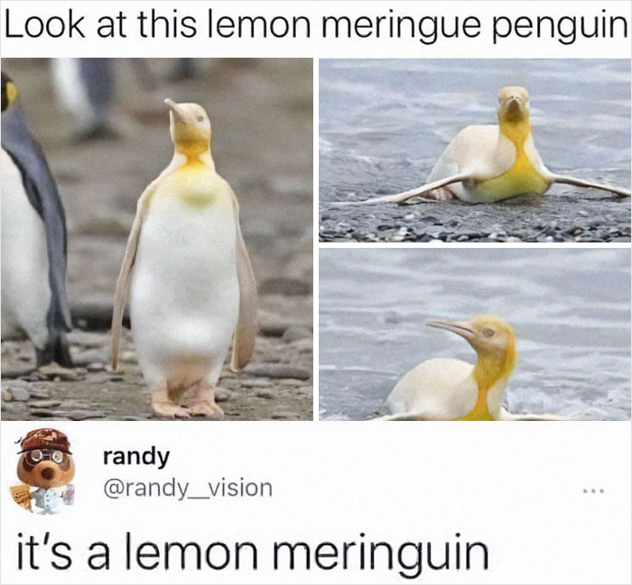 Top-Comments-Funny-Epic-Pics