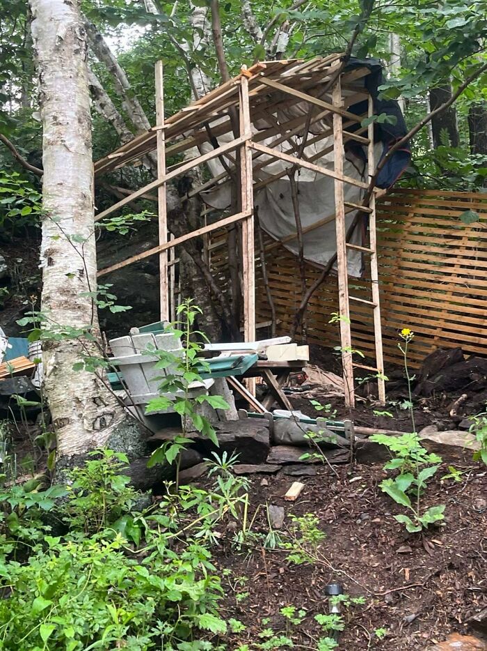 I Built Whimsical Treehouse, And Here's How It Turned Out