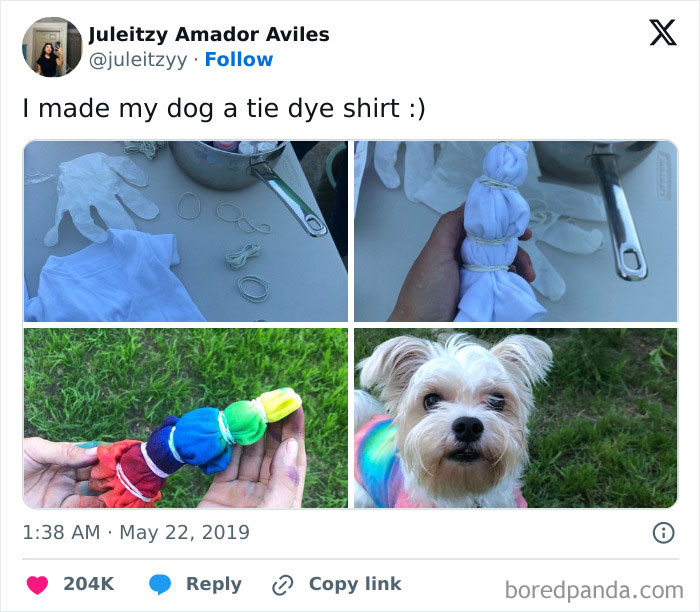 This Is The Cutest Thing Ever