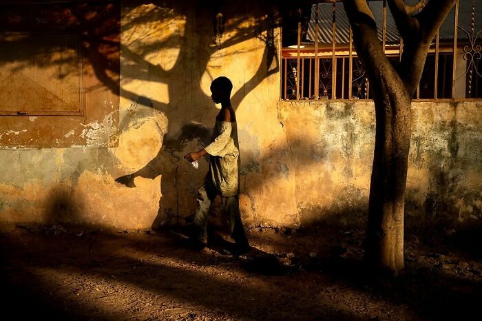 Shadowed figure walking by a tree casting shadows on a wall, captured in vibrant photography by Ivan Margot.