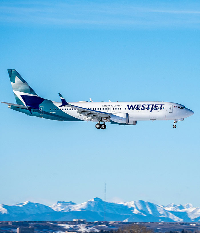 Woman Shares &ldquo;Most Distressing, Dehumanizing&rdquo; Experience Following Feud With Flight Attendant