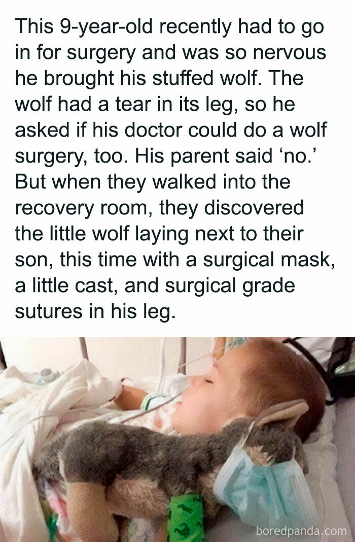 Wholesome-Stories-Givingeveryday