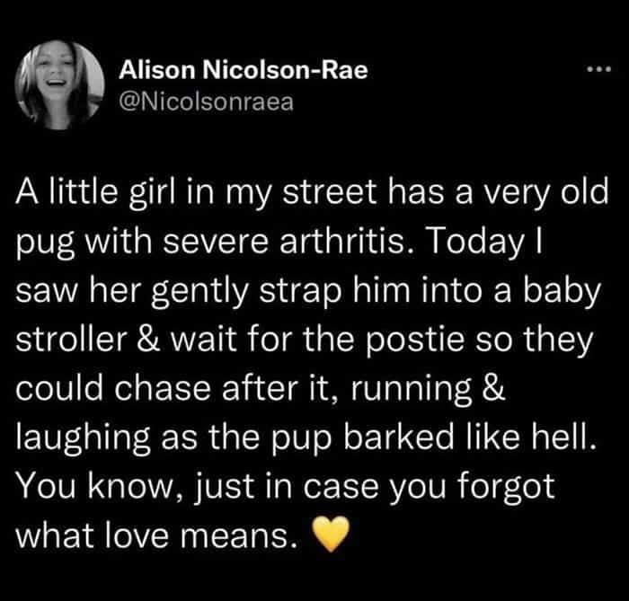 Wholesome-Stories-Givingeveryday