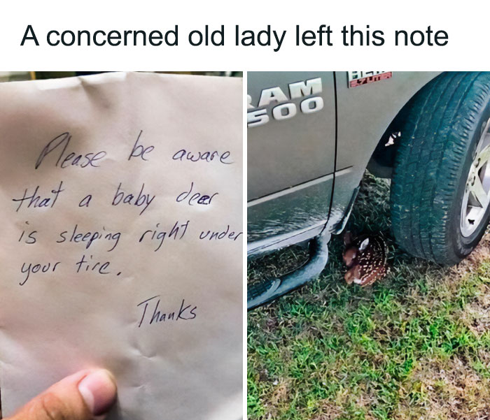 Wholesome-Stories-Givingeveryday