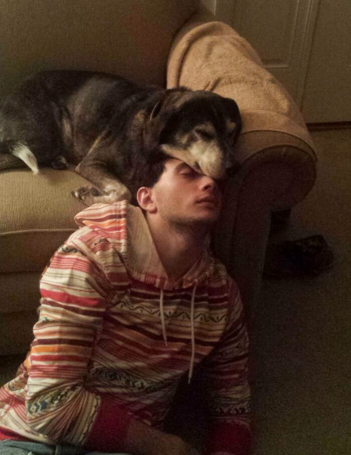 A person and a dog napping together on a couch after Thanksgiving.