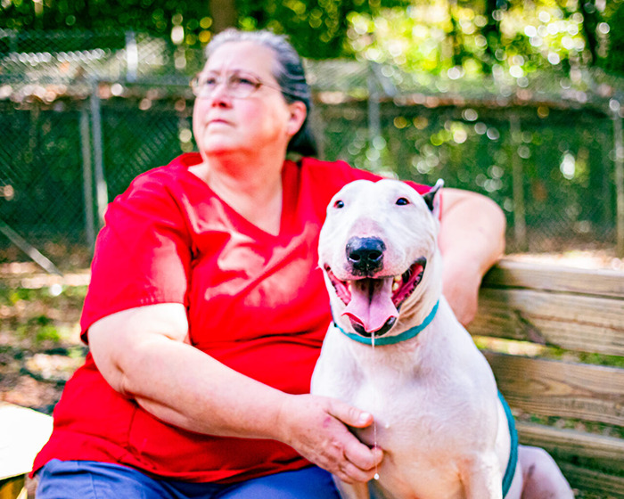 Trooper the dog smiling and sitting on a bench, after being rescued during Hurricane Milton. Trooper the dog smiling and sitting on a bench, after being rescued during Hurricane Milton.