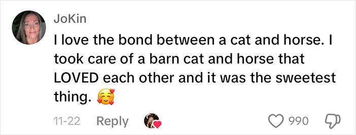 Adorably Cute Friendship Between A Cat And A Horse Is Melting Hearts All Over The Internet