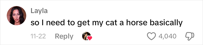 Adorably Cute Friendship Between A Cat And A Horse Is Melting Hearts All Over The Internet