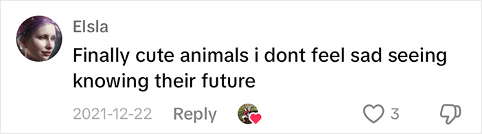 Social media comment expressing affection for cute sheep without feeling sad.