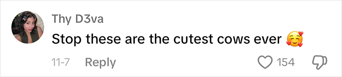User comment praising cute baby calves, with heart and smile emoji.