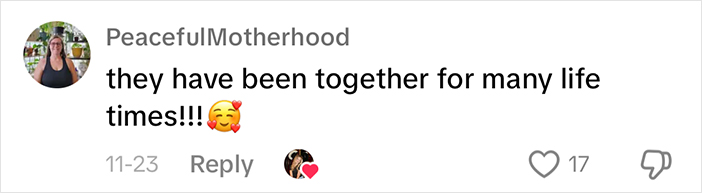 Adorably Cute Friendship Between A Cat And A Horse Is Melting Hearts All Over The Internet