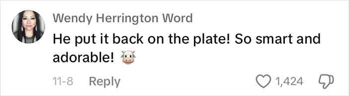 Comment praising adorable baby calves, mentioning their intelligence with a cow emoji.