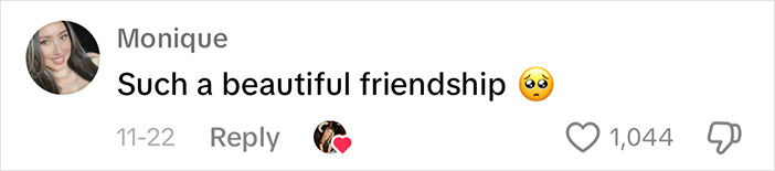 Adorably Cute Friendship Between A Cat And A Horse Is Melting Hearts All Over The Internet