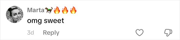Comment from Marta with sheep and fire emojis saying "omg sweet" about a woman's sheep experience.
