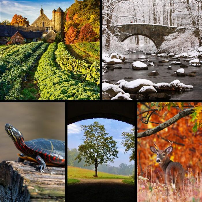 Rockefeller State Park Preserve&rsquo;s Photography Exhibit Showcasing Works Of 30 Photographers