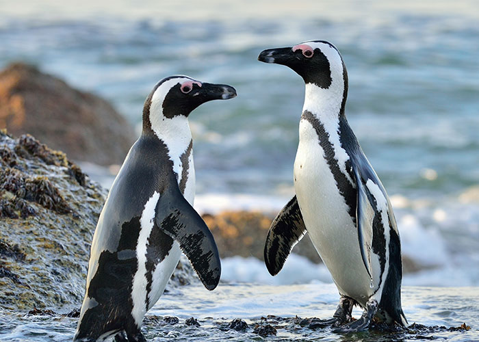 50 Interesting And Intriguing Facts From The “Today I Learned” Community