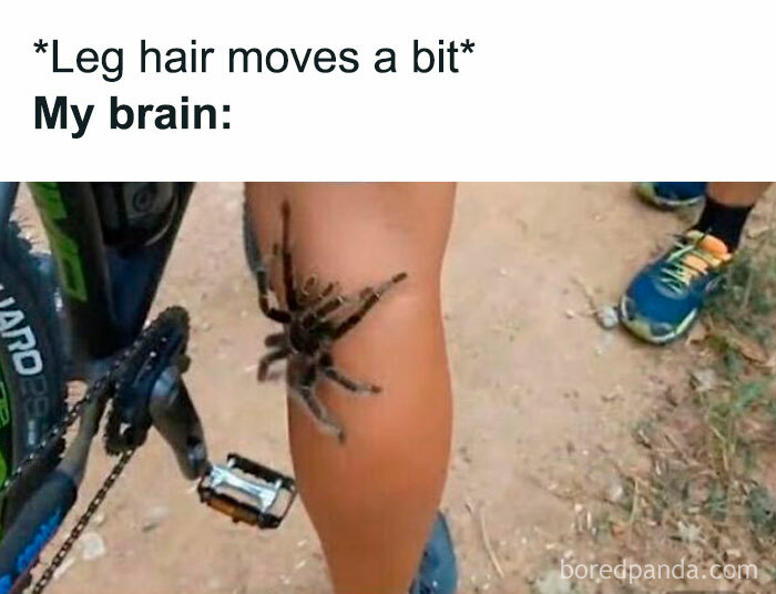 Cyclist imagines a spider on leg, a funny post capturing a spot-on fear reaction.