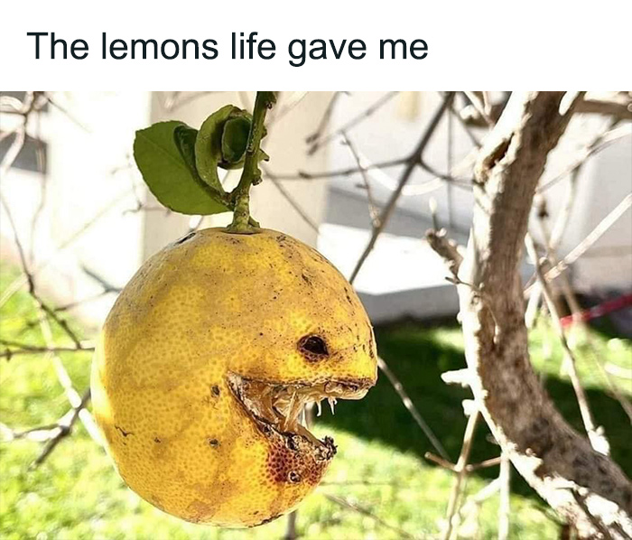 Funny-Neurodivergent-Memes