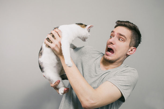 Friends Turn On Guy For Refusing To House-Sit, All Because They Forgot To Mention Their Cat