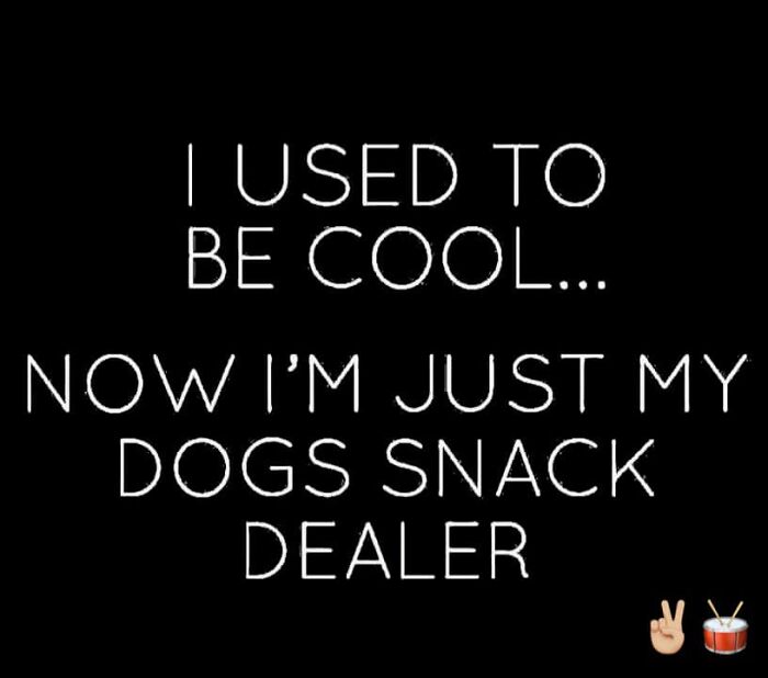 Text on black background humorously says, "I used to be cool... now I'm just my dog's snack dealer," illustrating dad's humor.
