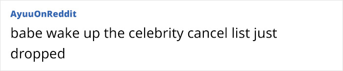 People Call Out Celebs&rsquo; Hypocrisy After 2024 Private Jet Flight Usage Leaderboard Is Revealed