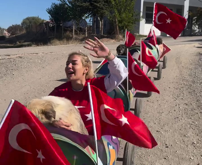 Woman riding a dog train adorned with Turkish flags, smiling and waving on a sunny day.