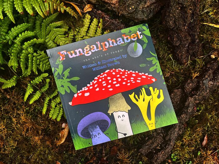 Self Published Children’s Books